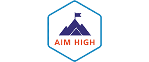 Servomex Value Icons 2023_Servomex Value Icons - Aim High