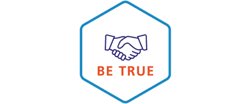 Servomex Value Icons 2023_Servomex Value Icons - Be True